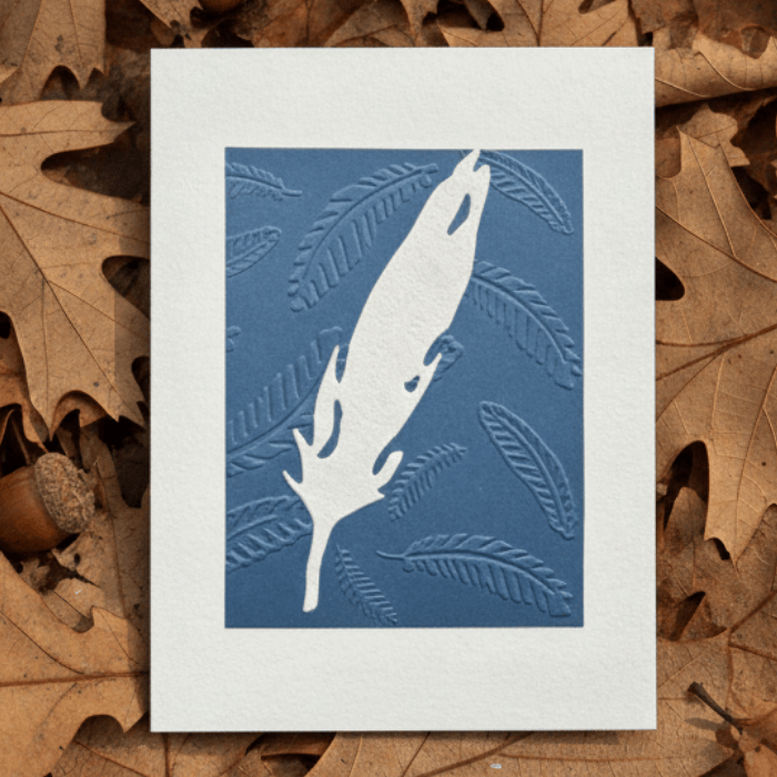 The Language of Leaves Earths note cards featuring embossed white leaf design on blue background